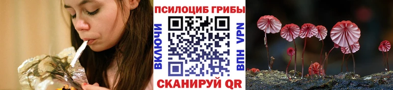 Псилоцибиновые грибы прущие грибы  площадка состав  Боровичи  купить наркоту 